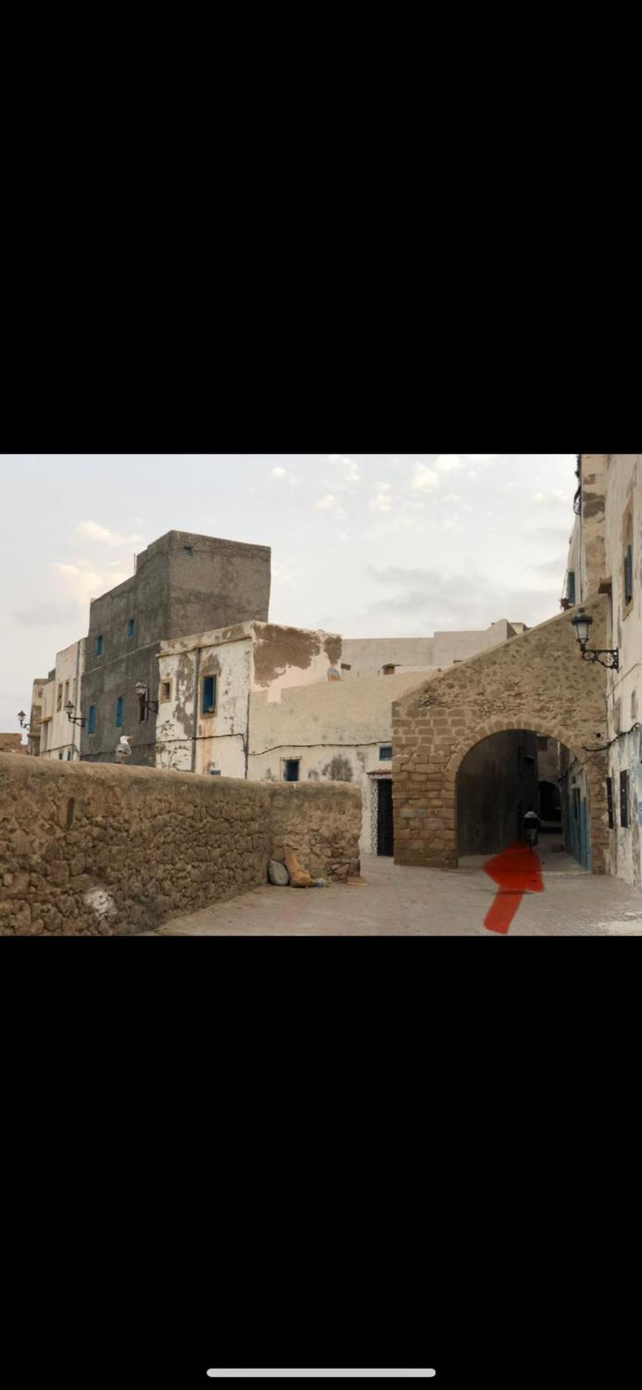 Dar Dada La Totalite Du Riad A Votre Disposition Et De Facon Exclusive 萨菲 外观 照片